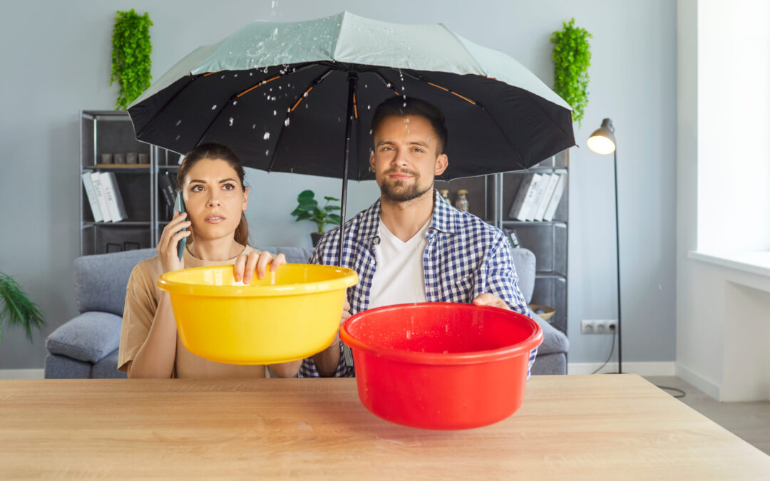 Did your roof spring a leak? Now what?