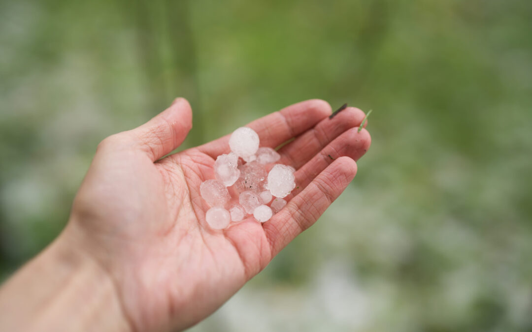 5 Important Steps to Take After a Hail Storm