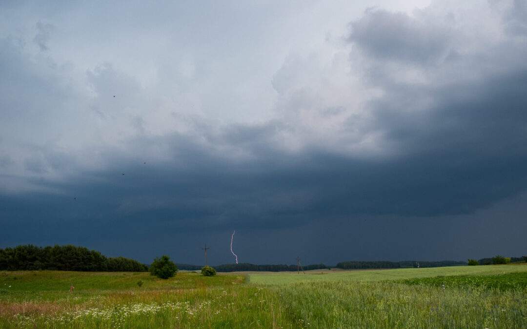 A green field under a dark, cloudy sky with a single bolt of lightning striking in the distance; power lines and trees are visible on the horizon.